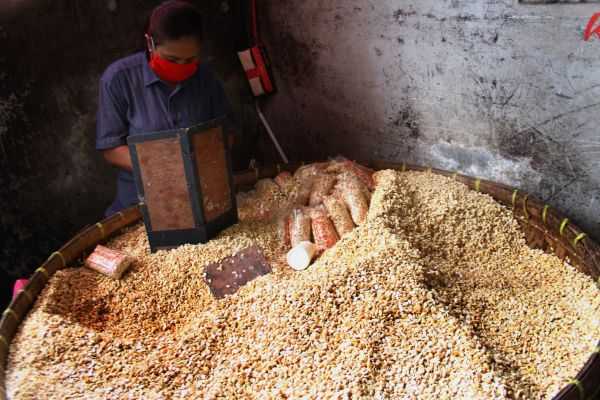 Harga Kedelai Meroket, Importir Bantah Ada Kartel!