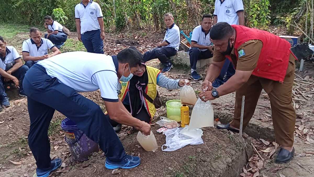 Kebun Palugada Lanal Simeulue, Jadi Percontohan Ketahanan Pangan Dimasa Pandemi Covid-19