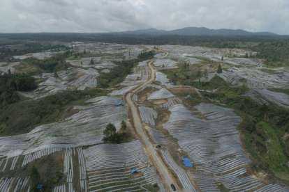 Humbang Hasundutan Sudah Mulai Menghasilkan Kentang di Food Estate