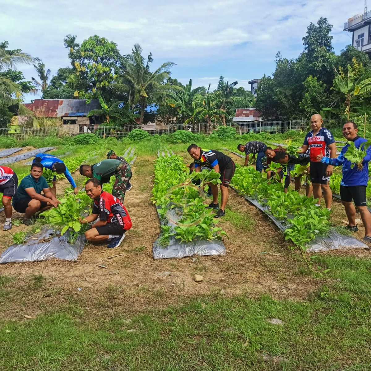Prajurit KRI Teluk Hading 538 Ikut Panen Saat Sandar Di Sorong