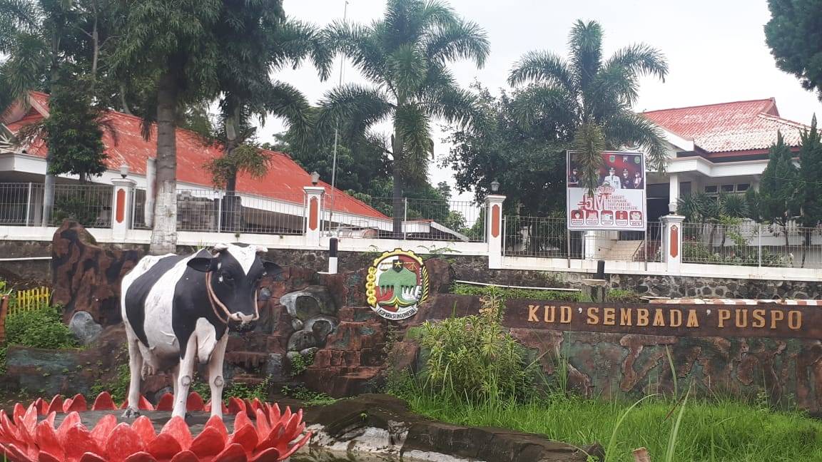 Di Pasuruan, Bayar Pajak Kendaraan Bermotor Cukup Dengan Susu