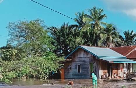 BNPB : 1.568 Jiwa Terdampak Banjir Nunukan Kalimantan Utara