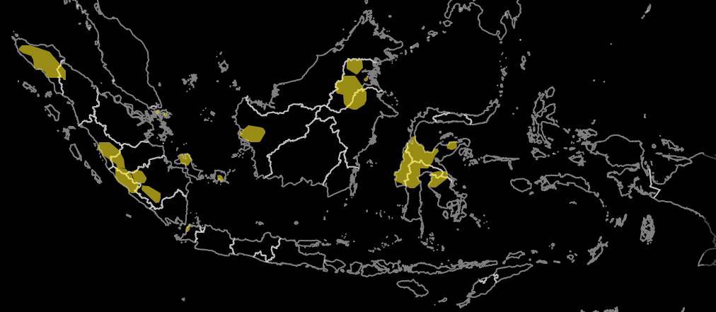 BNPB : Waspada Potensi Bencana Banjir di 16 Provinsi
