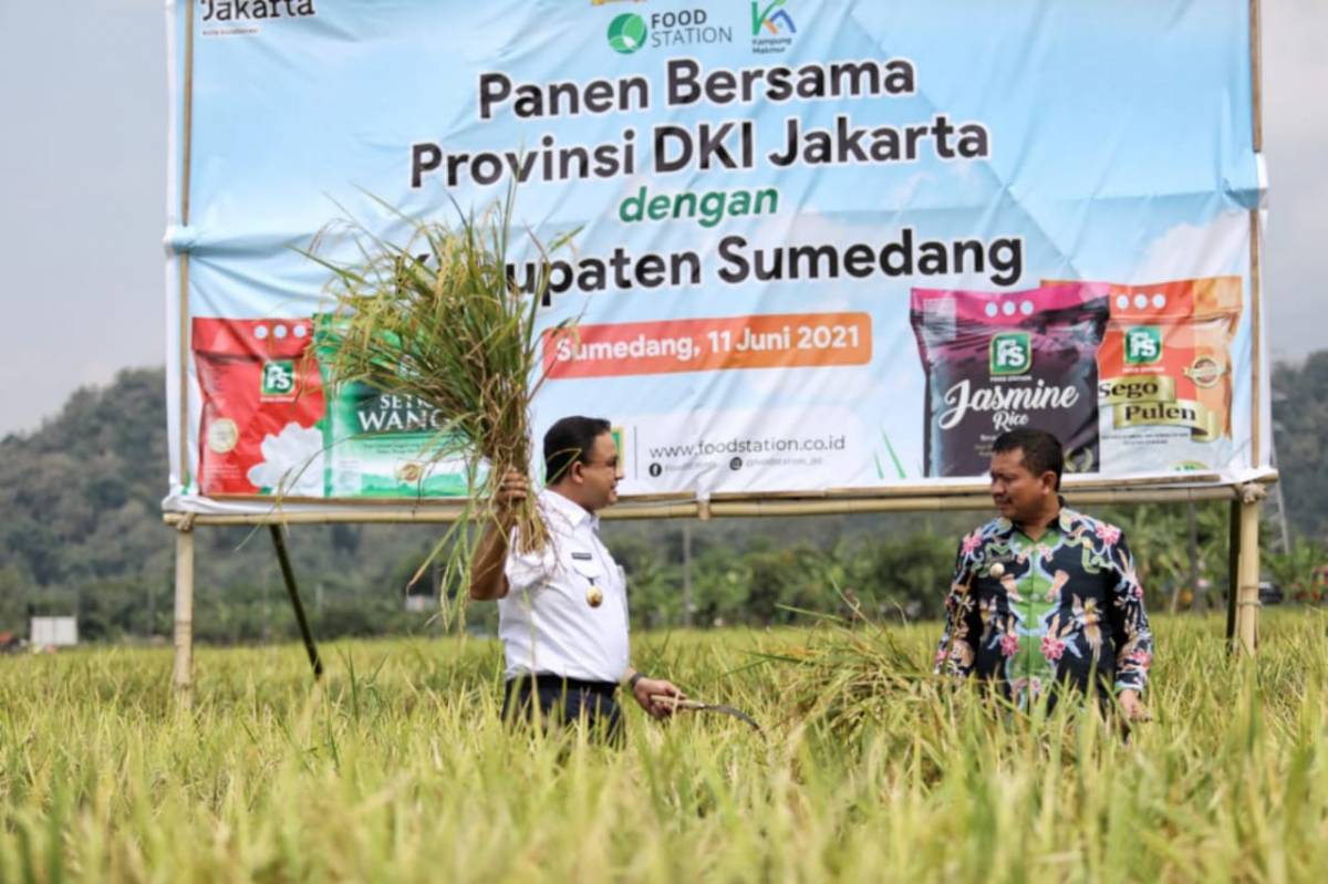 Panen Raya, Anies : Bentuk Balas Budi Ke Petani