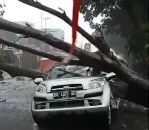 Pohon Tumbang, Dua Karyawan RS Adam Malik Medan Tewas