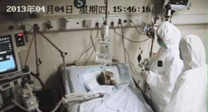 Wuhan University Tak Temukan Bukti H10N3 Menular Seperti Covid-19