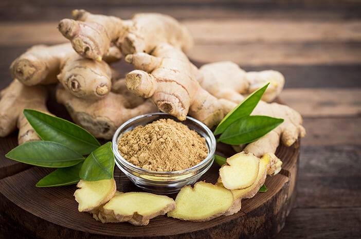 Manfaat Temulawak bagi Kesehatan