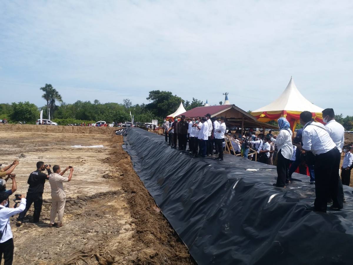 Komite II DPD RI Tinjau Tambak Udang Vaname di Aceh Timur