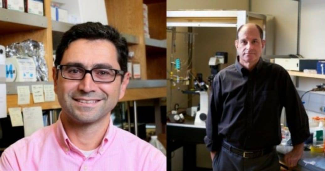 Nobel Kedokteran 2021 Dimenangi David Julius dan Ardem Patapoutian