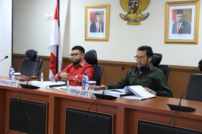 Duduk Bareng, DPD RI dan Pemerintah Bahas RPP Pelaksanaan Otsus Papua