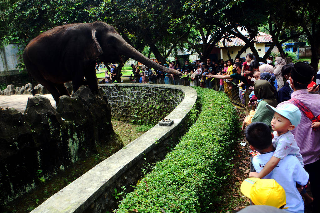 H+3 Lebaran, Taman Margasatwa Ragunan Ramai Pengunjung