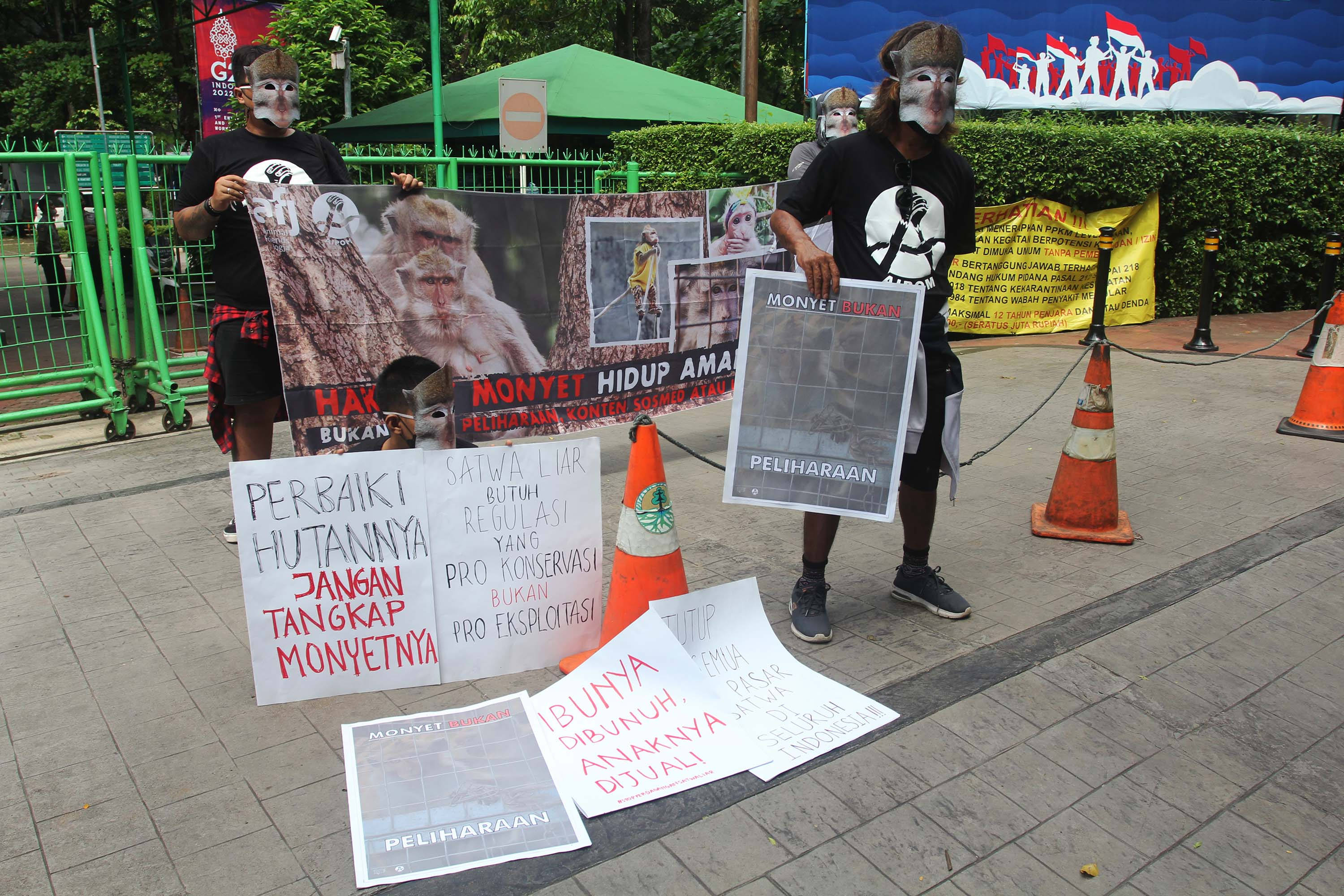 Aksi Tolak Perdagangan Monyet Ekor Panjang