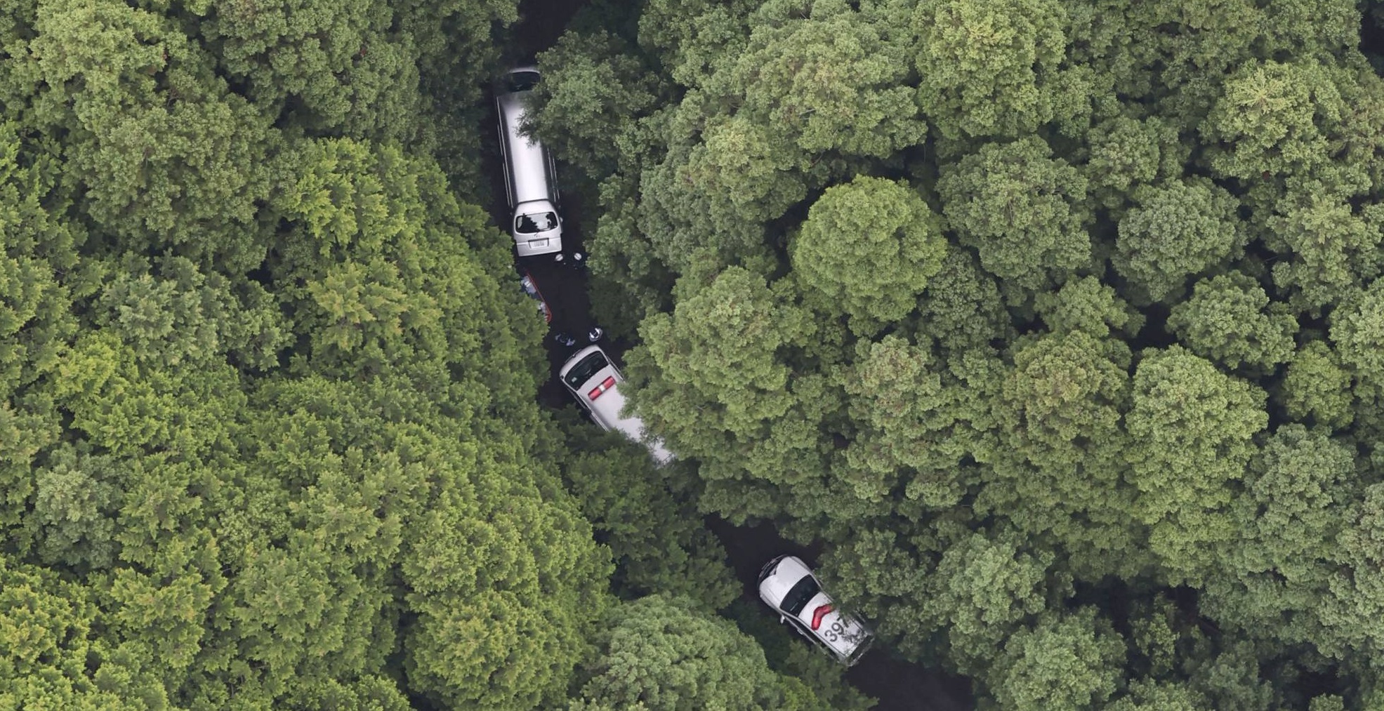 Arano, Bintang Film Seks Jepang Tewas Mengenaskan