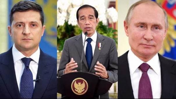 Putin dan Zelensky Tak Hadir di KTT G20 Bali