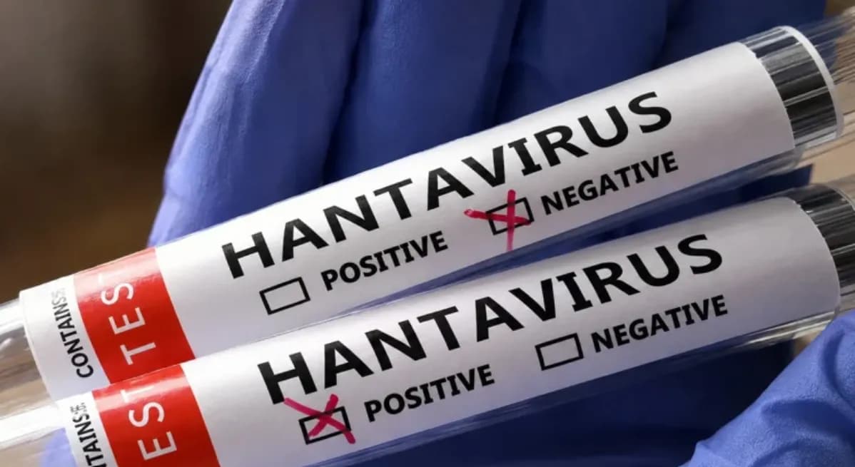 Kasus Hantavirus Muncul di Asia, Sejumlah Negara Perketat Pengawasan