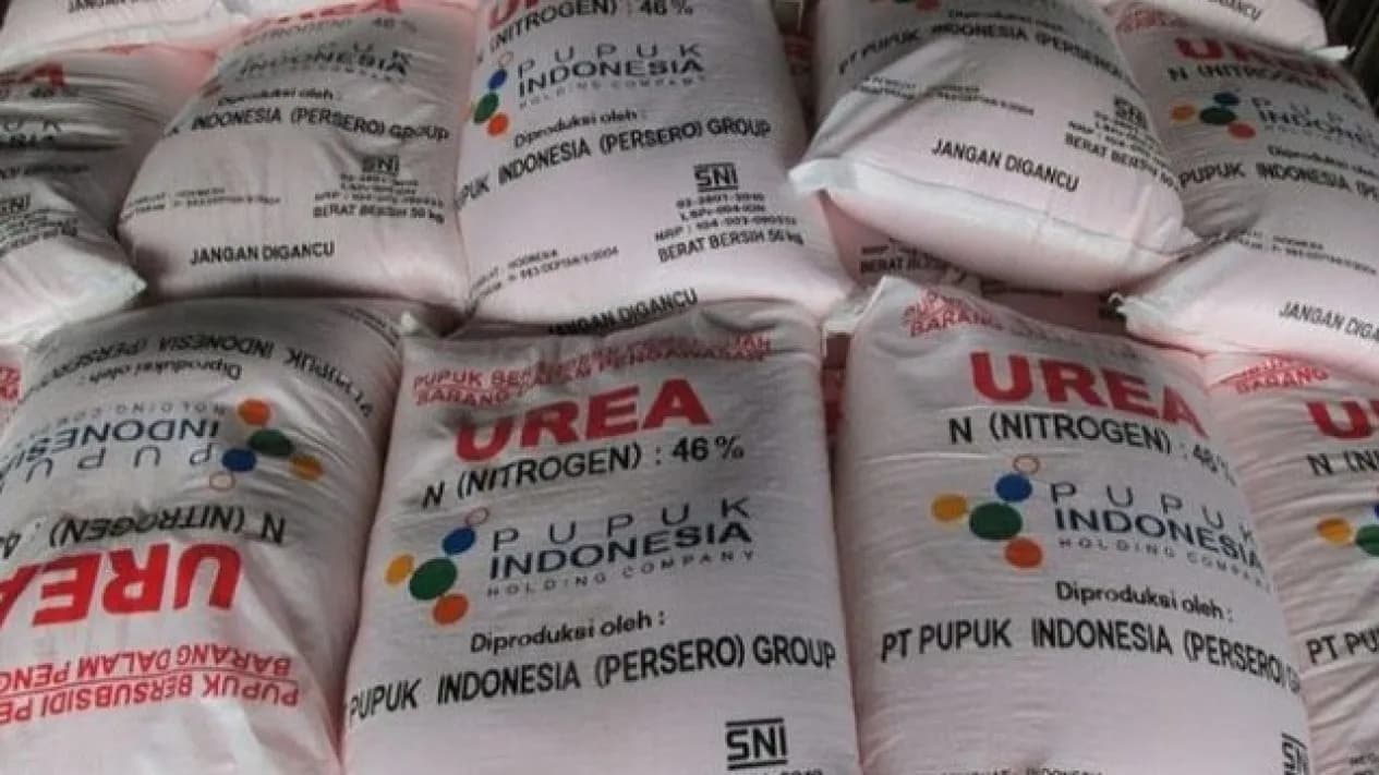 2.231 Distributor Pupuk Bermasalah Dicabut Izinnya, Kementan Bongkar Praktik Mafia Distribusi