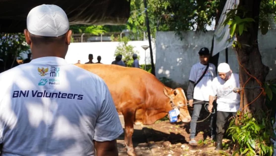 BNI Salurkan 1.200 Hewan Kurban untuk Masyarakat di Berbagai Daerah