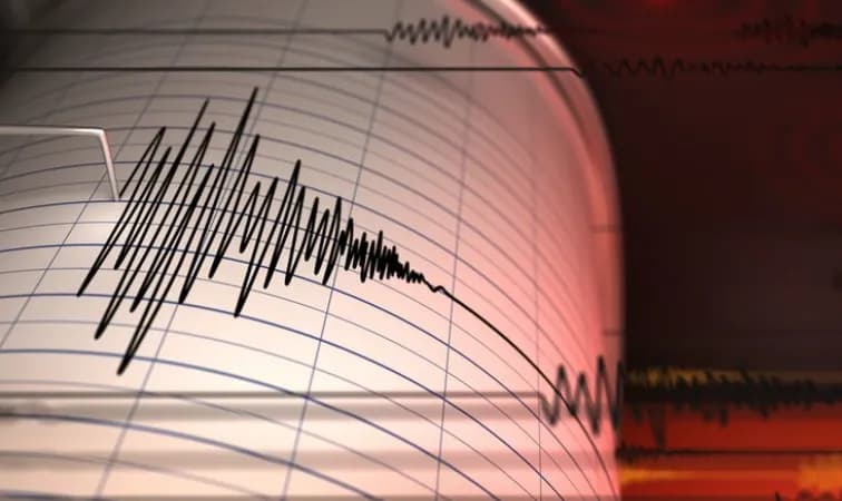 Jepang Diguncang Gempa M 7,1, Aktivitas Transportasi Terganggu