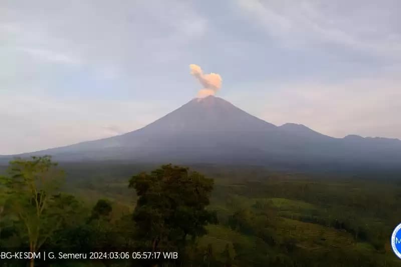 Gunung Semeru Muntahkan Abu Vulkanik Setinggi 800 Meter