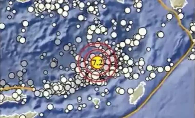 Gempa Magnitudo 7,2 Tanimbar, Picu Tsunami di Damar dan Banda