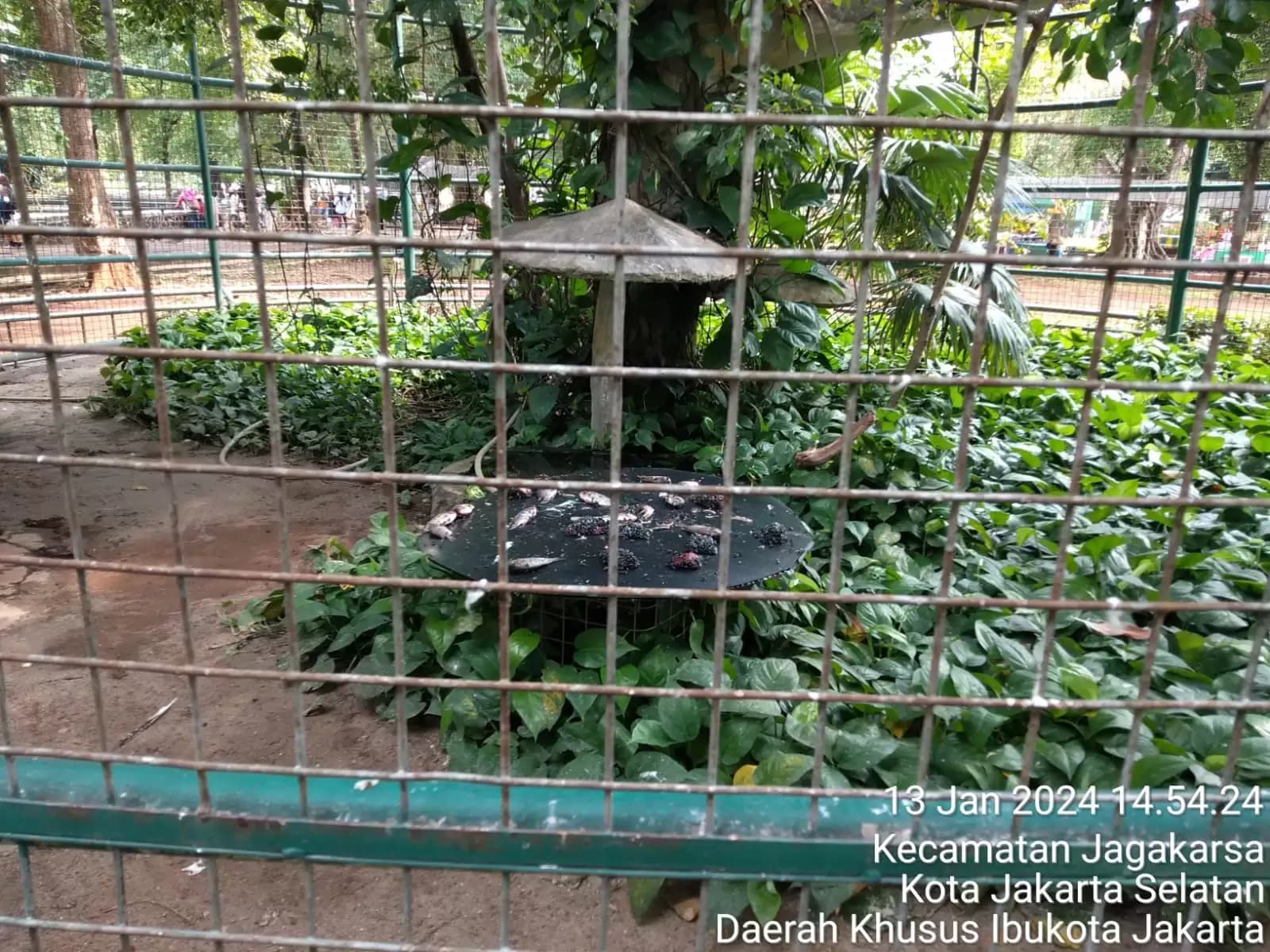 Ragunan, Jakarta Selatan