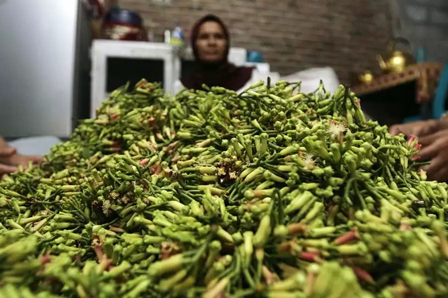 RPP Kesehatan Mengancam Pabrik Kretek dan Petani Cengkeh