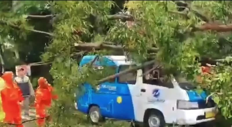 Angkot JakLingko Tertimpa Pohon Tumbang di Cakung