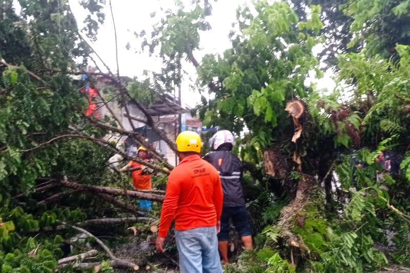 Waspada! Hujan Lebat Disertai Angin Kencang Melanda Banten