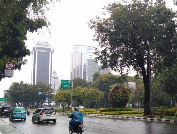 Jakarta Diguyur Hujan Deras, BPBD DKI: Banjir Nihil Satu Pohon Tumbang