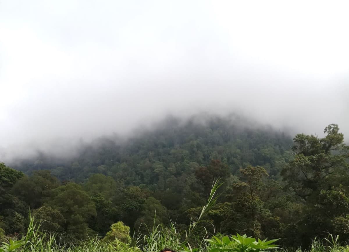 Pendaki Gunung Gede Pangrango yang Tersesat Telah Ditemukan