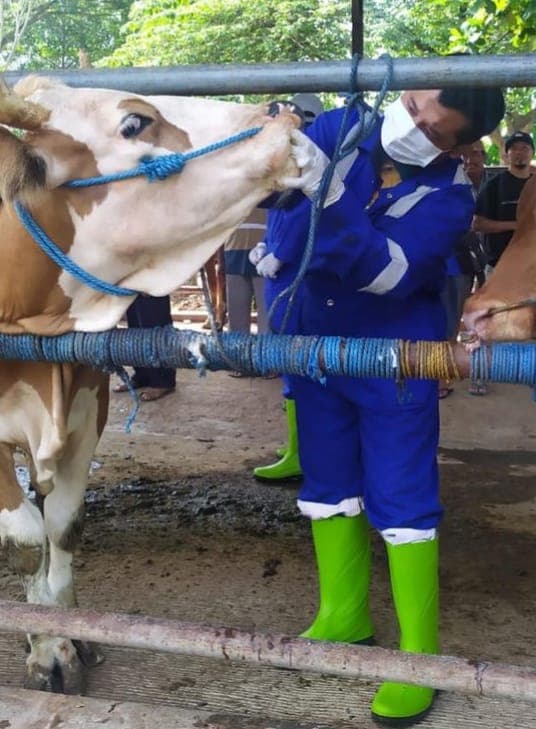 Jelang Idul Adha, Disnakkan Kabupaten Blitar Gelar Sosialisasi dan Gratiskan Retribusi Pemotongan Hewan Kurban di RPH