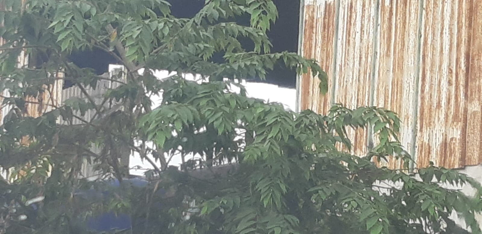 Baru 10 Hari Digrebek Polisi, Pengoplosan Gas Elpiji di Koja, Jakarta Utara Kembali Beroperasi