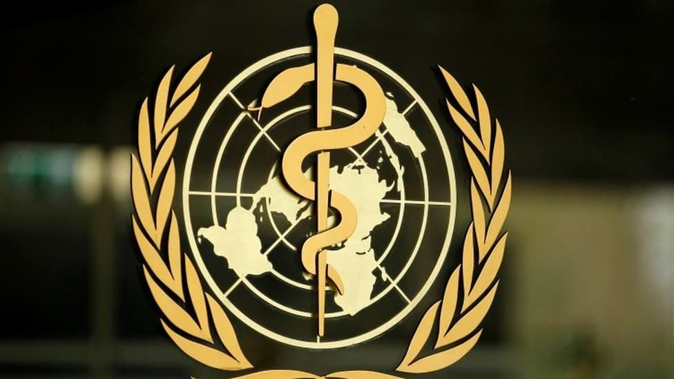 WHO Sebut Tidak Ada Bukti Virus Cacar Monyet Telah Bermutasi