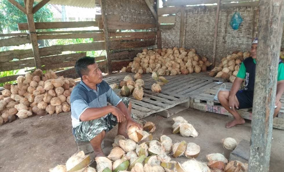 Mas Dar, Pedagang Kelapa Pantang Menyerah Sekalipun Bunga Pinjaman Bank 8 Persen/Bulan
