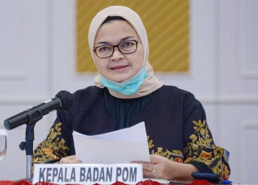 Background Penny Lukito Teknik Lingkungan, Kok Bisa Kepala Pengawas Obat?