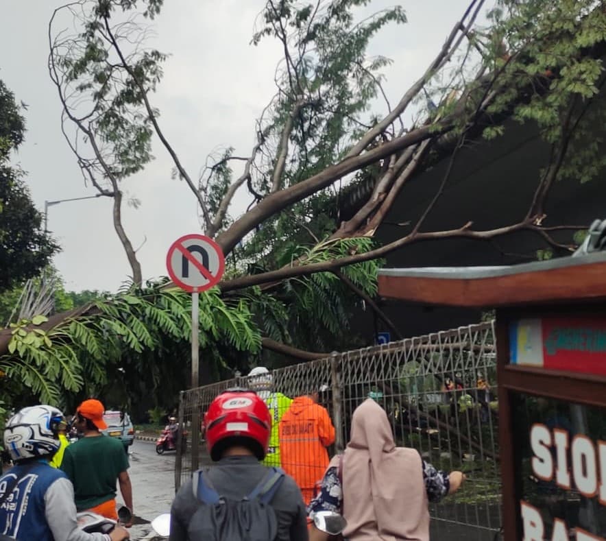 Imbas Hujan Badai, Pohon Tumbang di Dekat Stasiun Kalibata