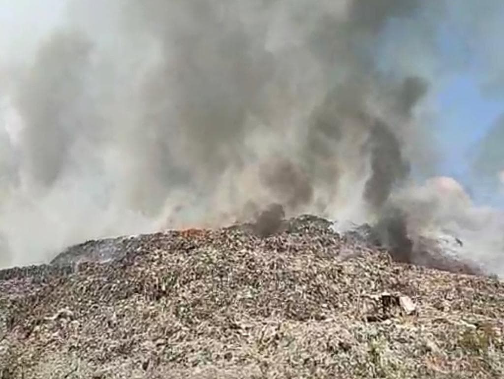 TPA Putri Cempo Solo Terbakar, 15 Damkar Diterjunkan