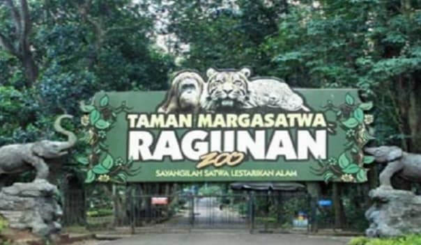 Kebun Binatang Ragunan Segera Dipercantik, Pengunjung Bakal Dimanjakan Estetika Baru