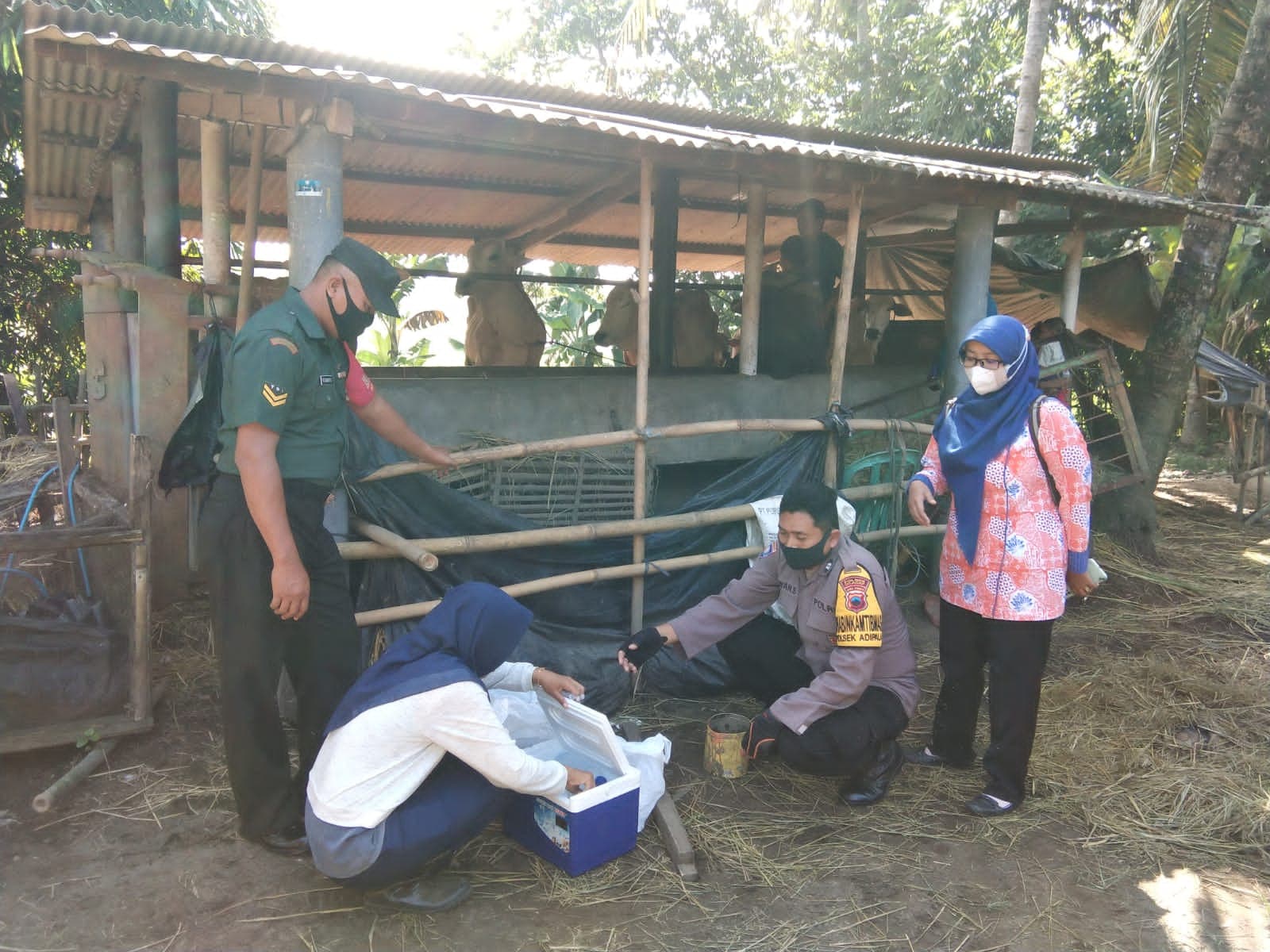 Tips Sehat Makan Daging di Tengah Wabah PMK