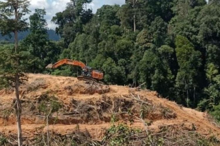 Tangkap Anggota DPRD Riau Perambah Hutan Negara