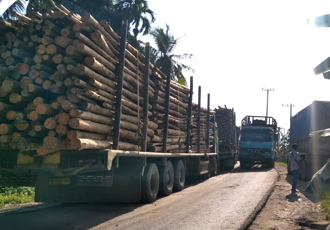 Truk Kayu Riau Andalan Pulp Paper Bikin Rusak Jalan lintas Japura Peranap