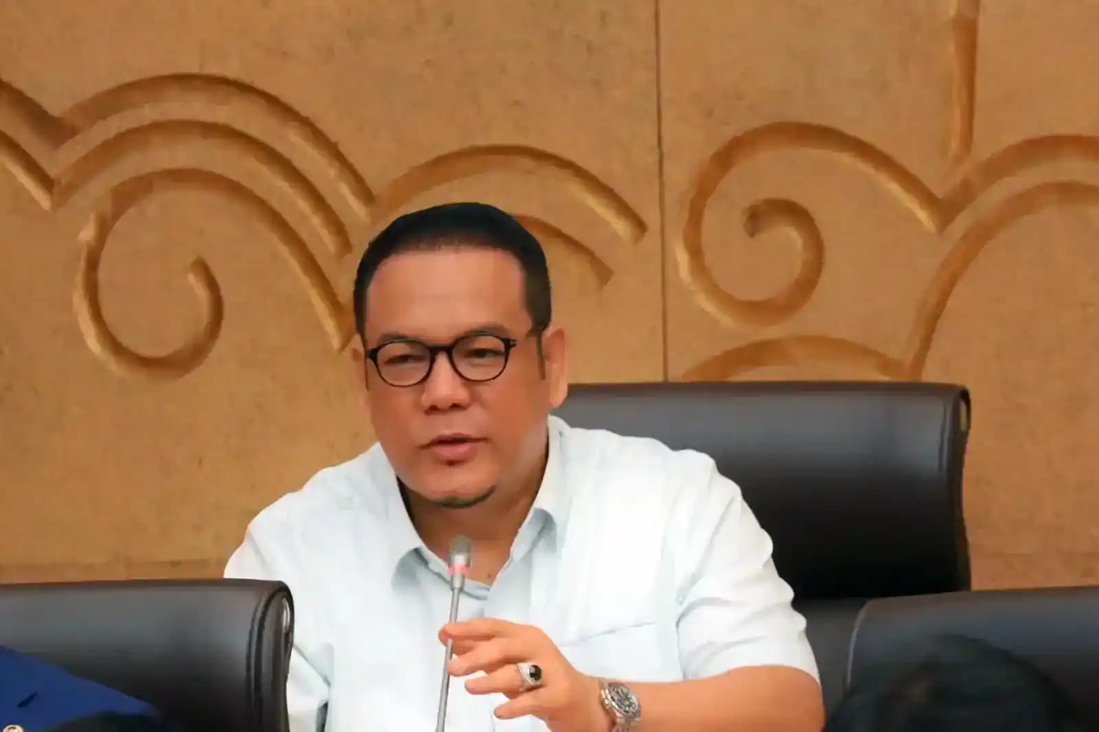 Anggota Komisi XII DPR RI, Yulian Gunhar