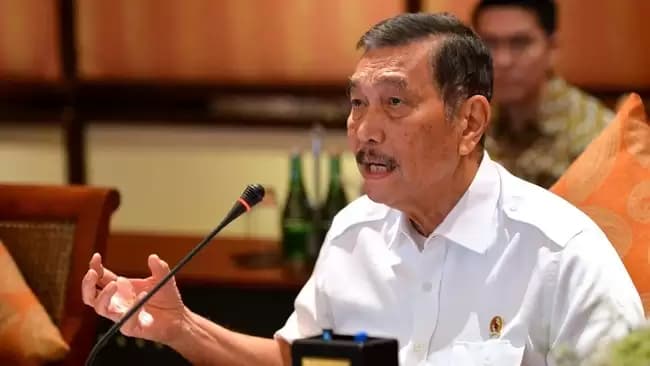Panas! Luhut Kini Bongkar Kegagalan Tom Lembong