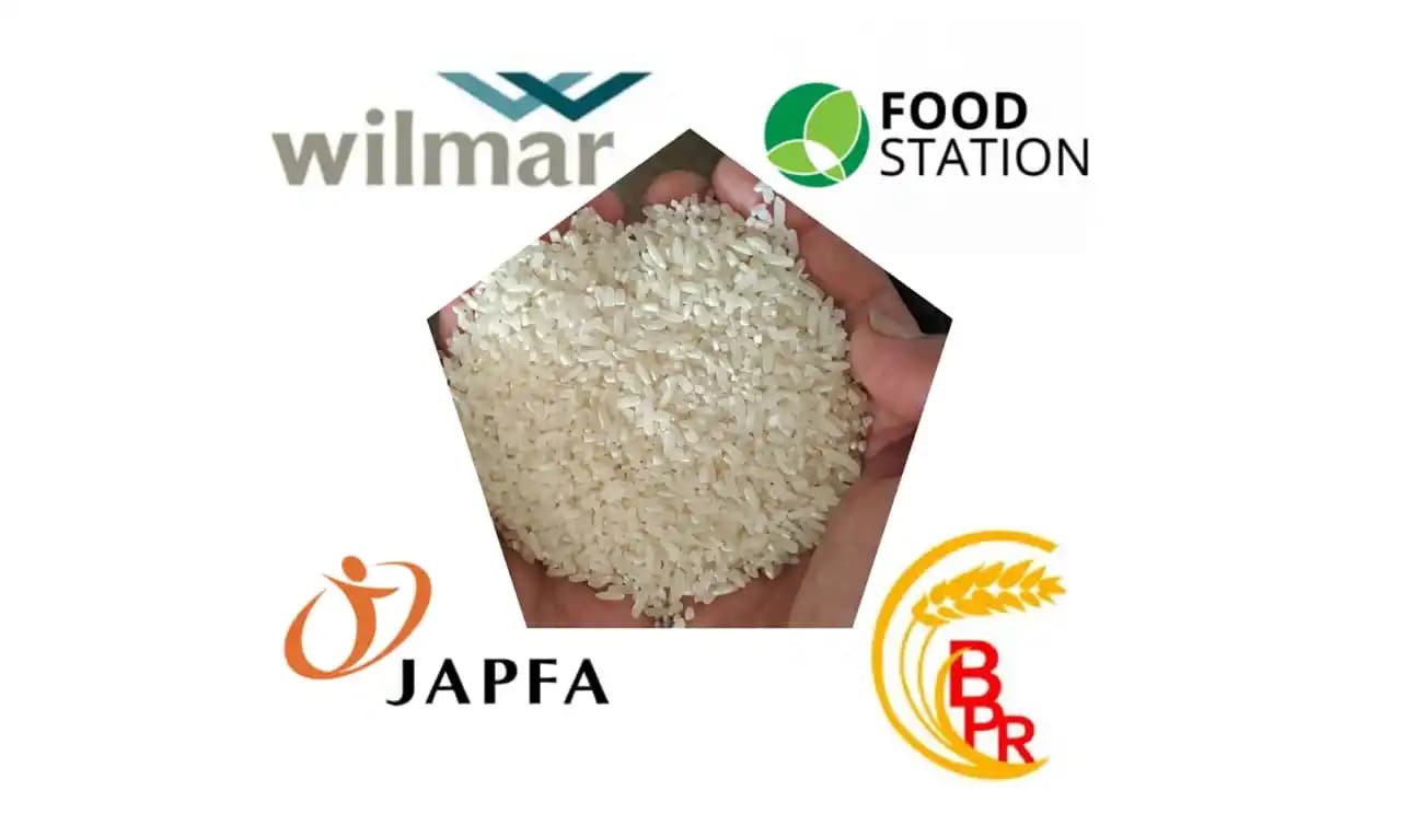 Beras Oplosan Wilmar Group