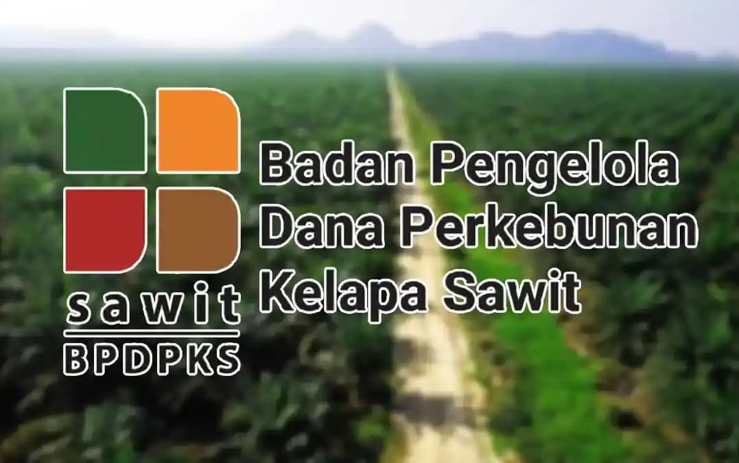 BPDPKS