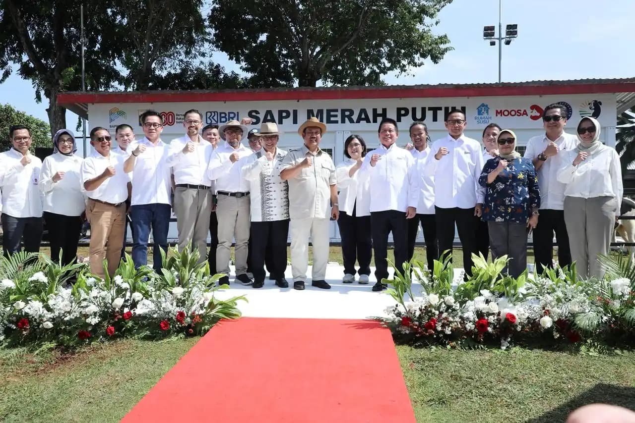 BRI-Program Sapi Merah Putih