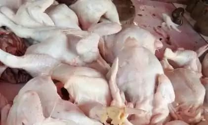 Daging Ayam