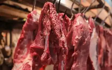 Daging Sapi Impor PT Berdikari