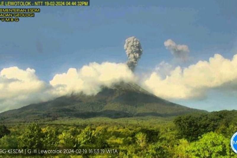 Gunung Lewotolok Erupsi Setinggi 1.000 Meter