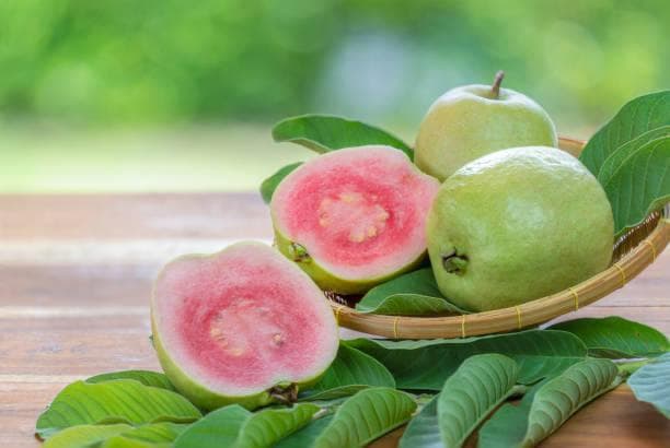 Ketahui 5 Manfaat Jambu Biji untuk Kesehatan